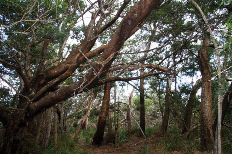 Photo of property in 63 Trig Road, Houhora, Kaitaia, 0484