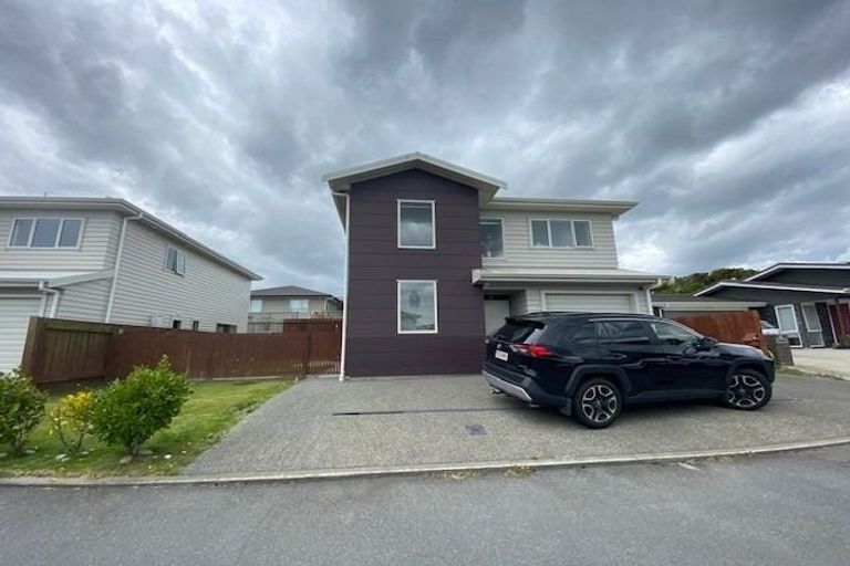 Photo of property in 25 Trelawny Terrace, Grenada Village, Wellington, 6037