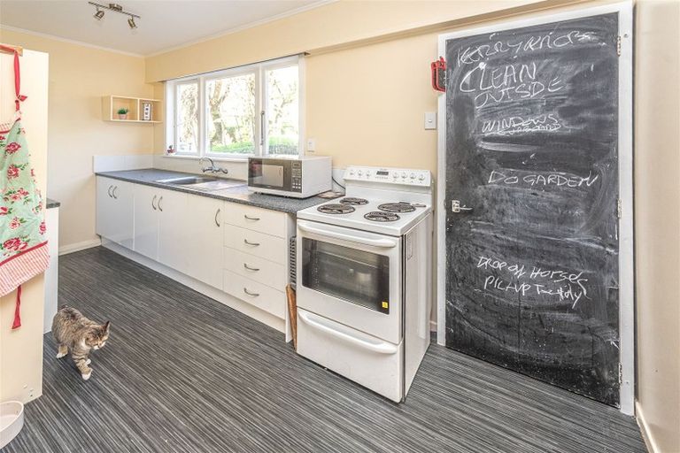 Photo of property in 219 Brunswick Road, Brunswick, Whanganui, 4571