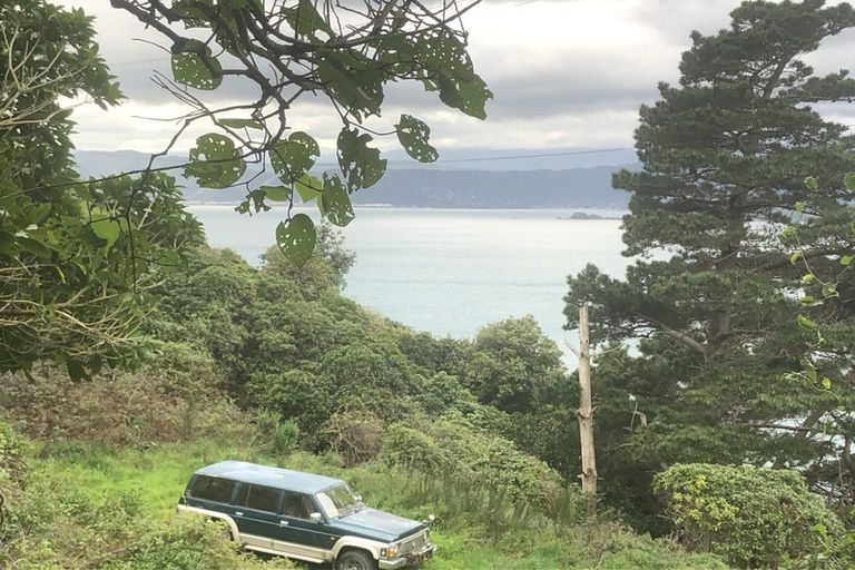 Photo of property in 19 Malvern Road, Ngauranga, Wellington, 6035