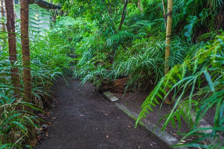 Photo of property in 11a Randall Place, Hospital Hill, Napier, 4110