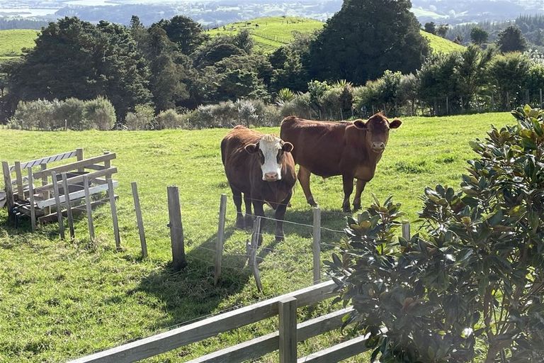 Photo of property in 460 Mount Tiger Road, Whareora, Onerahi, 0192