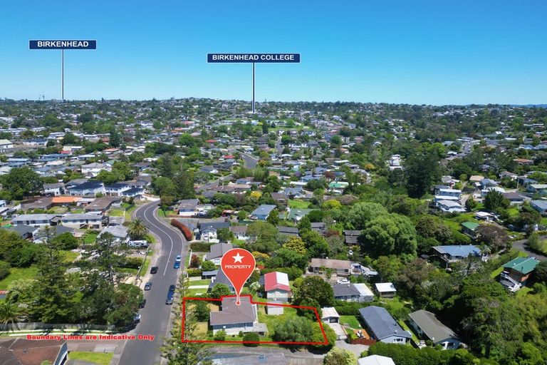 Photo of property in 13 Hellyers Street, Birkdale, Auckland, 0626