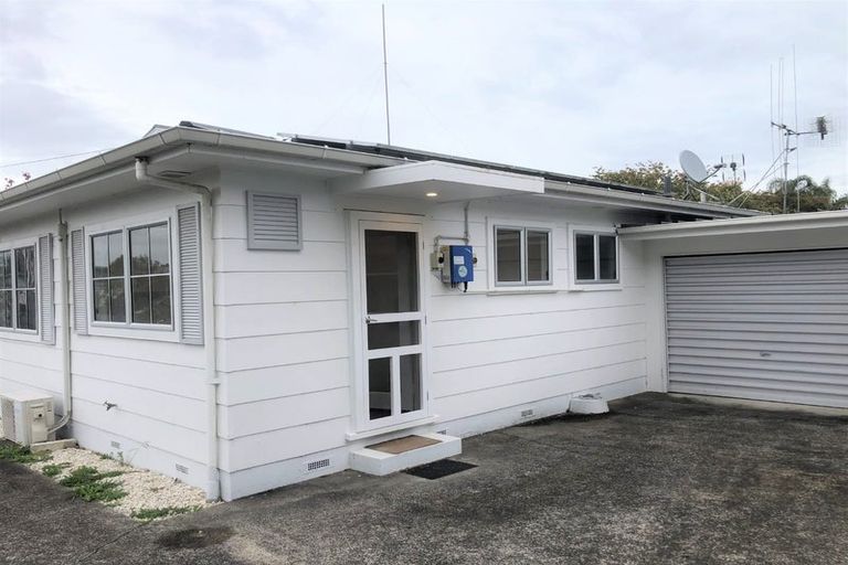 Photo of property in 97 Fitzroy Avenue, Fitzroy, Hamilton, 3206