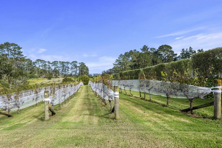 Photo of property in 583 State Highway 16, Kumeu, 0891