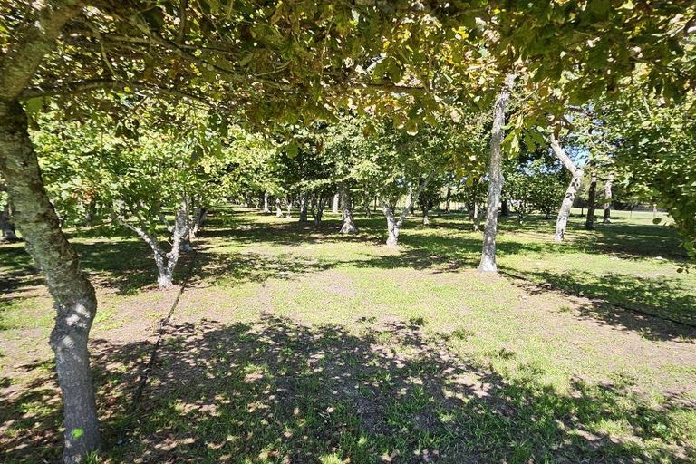 Photo of property in 298 Maungarangi Road, Paengaroa, Te Puke, 3189