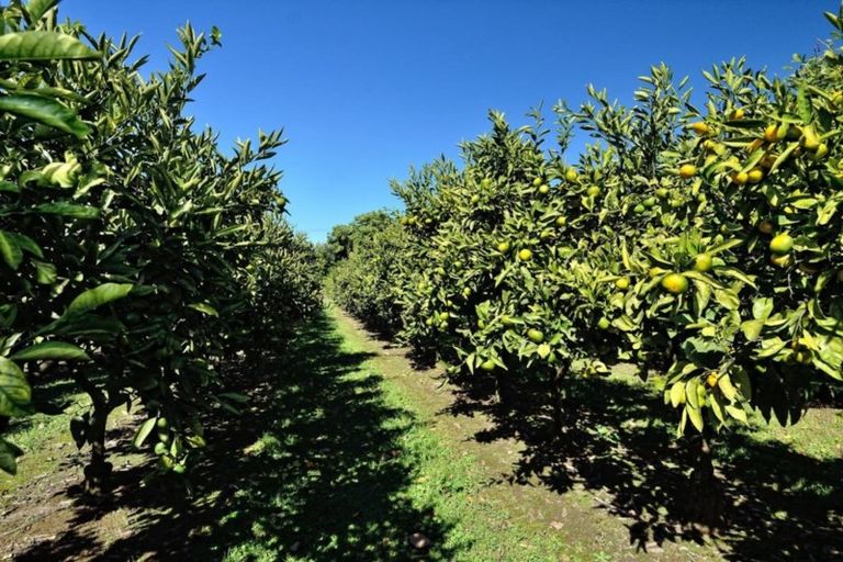 Photo of property in 982 Back Ormond Road, Makauri, Gisborne, 4071