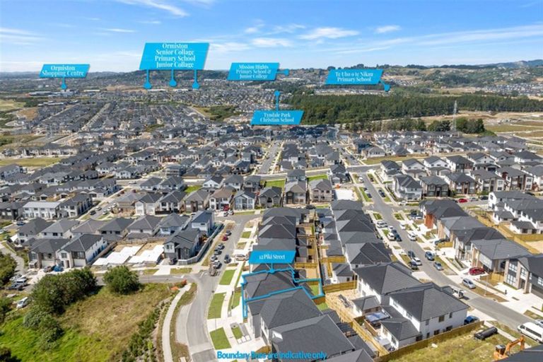 Photo of property in 12 Piki Street, Flat Bush, Auckland, 2019