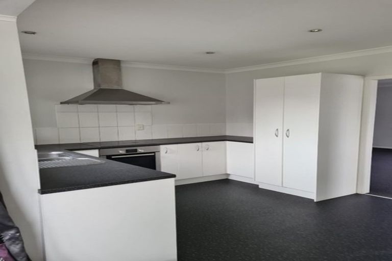 Photo of property in 137 Clarkin Road, Fairfield, Hamilton, 3214