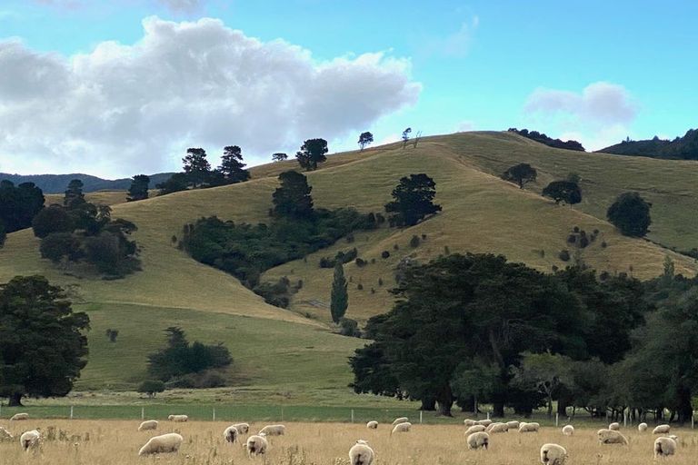 Photo of property in 194 Underhill Road, Woodside, Greytown, 5794