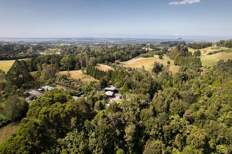 Photo of property in 99c Ross Road, Whakamarama, Tauranga, 3179