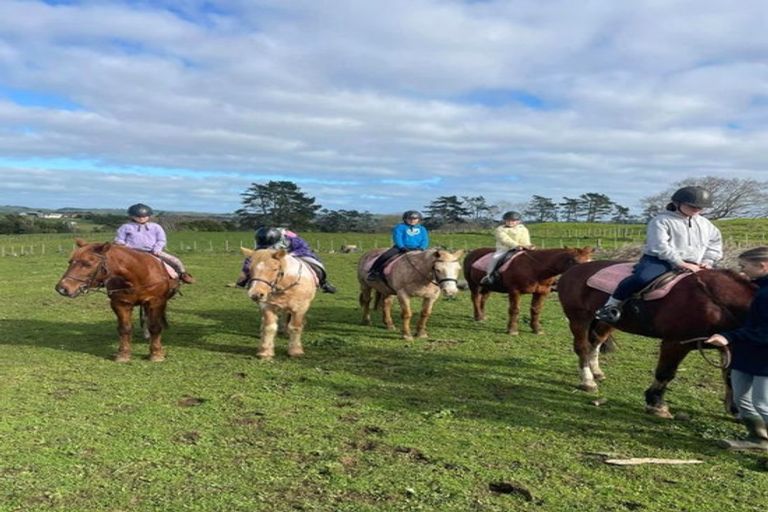 Photo of property in 14 Paapaka Way, Waiuku, 2123