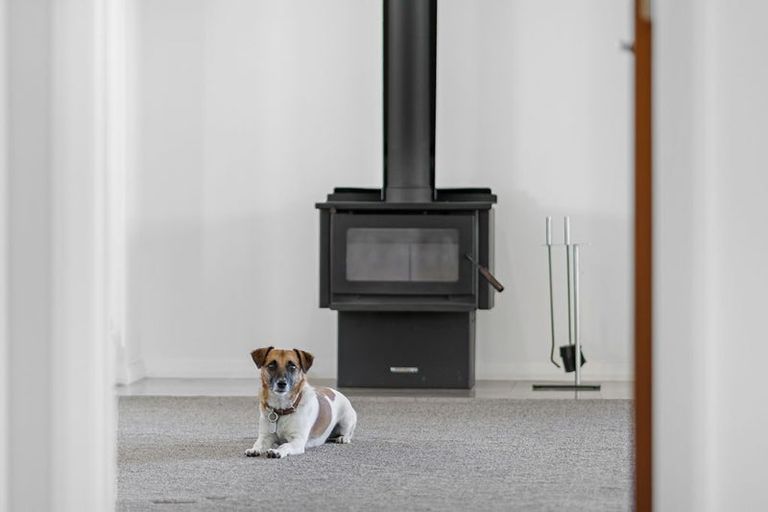 Photo of property in 9 Ruru Place, Oxford, 7430