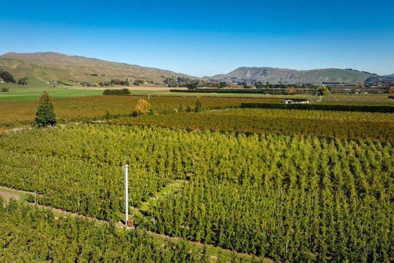 Photo of property in 83 Mount Erin Road, Pukahu, Hastings, 4172