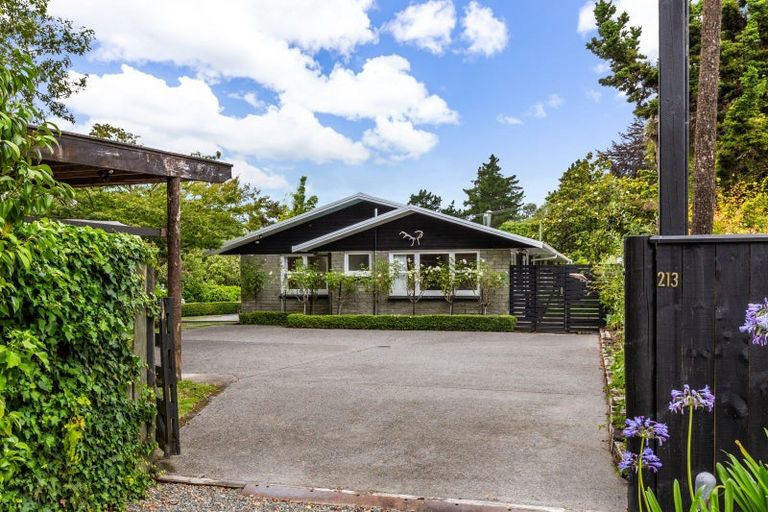 Photo of property in 213 Taupahi Road, Turangi, 3334