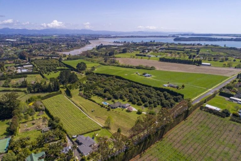 Photo of property in 257 Te Puna Road, Te Puna, Tauranga, 3176