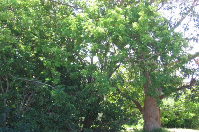 Photo of property in 143 Churchill Road, Rothesay Bay, Auckland, 0630