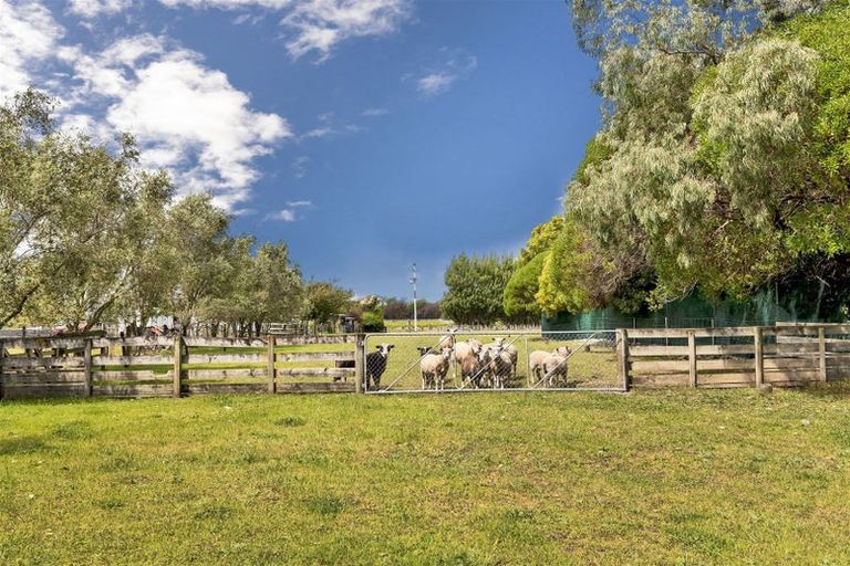 Photo of property in 86 Rarangi Road, Rarangi, Blenheim, 7273