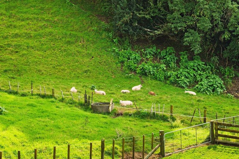 Photo of property in 4 Cannell Farm Drive, Te Puke, 3119