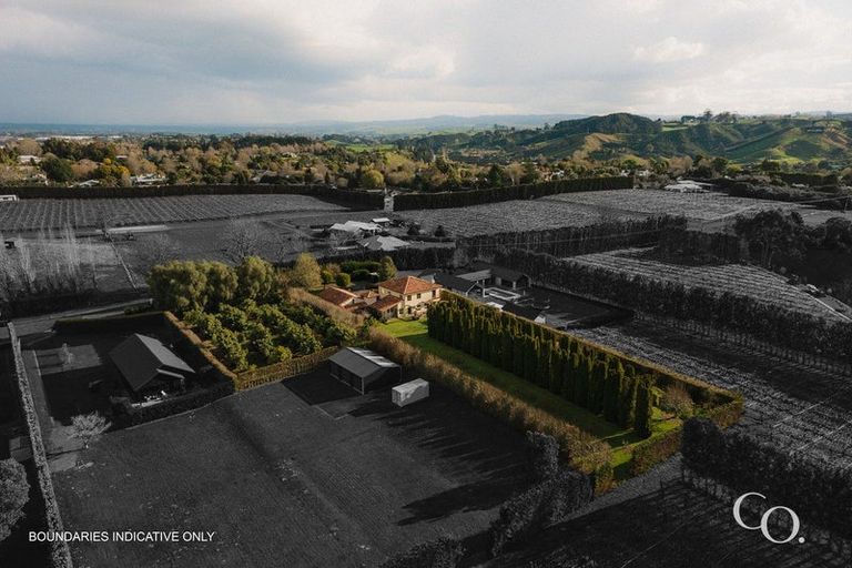 Photo of property in 24 Plane Tree Lane, Tauriko, Tauranga, 3110