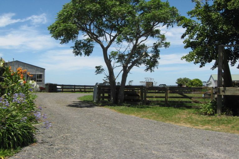 Photo of property in 85 Boyd Road, Clarks Beach, Pukekohe, 2679