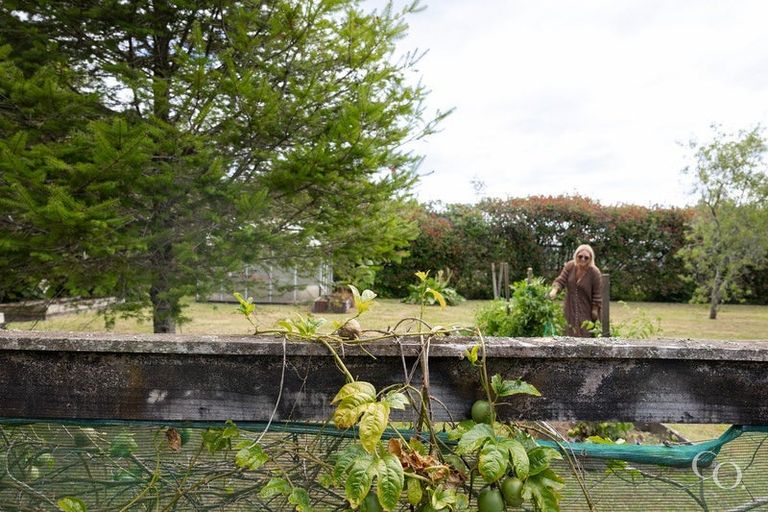 Photo of property in 99c Ross Road, Whakamarama, Tauranga, 3179