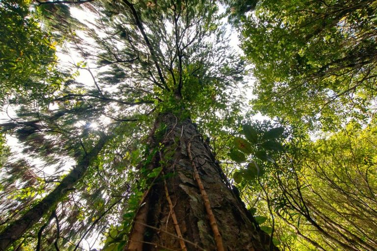 Photo of property in 120 Brickfield Road, Seaview, Hokitika, 7882