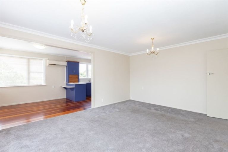 Photo of property in 103 Mahoe Street, Melville, Hamilton, 3206
