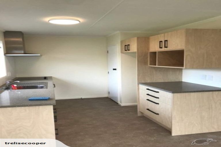 Photo of property in 25a Mako Mako Road, Levin, 5510