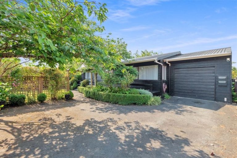 Photo of property in 4a Pearsons Avenue, Claudelands, Hamilton, 3214