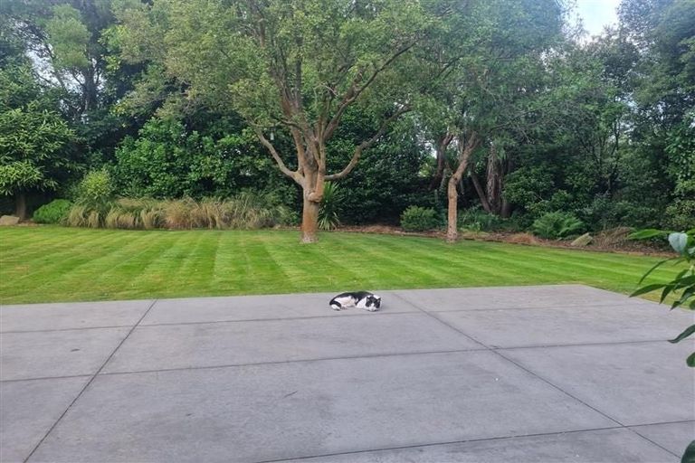 Photo of property in 228 Opawa Road, Hillsborough, Christchurch, 8022