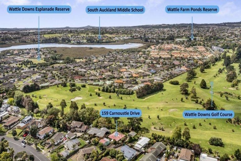 Photo of property in 159 Carnoustie Drive, Wattle Downs, Auckland, 2103