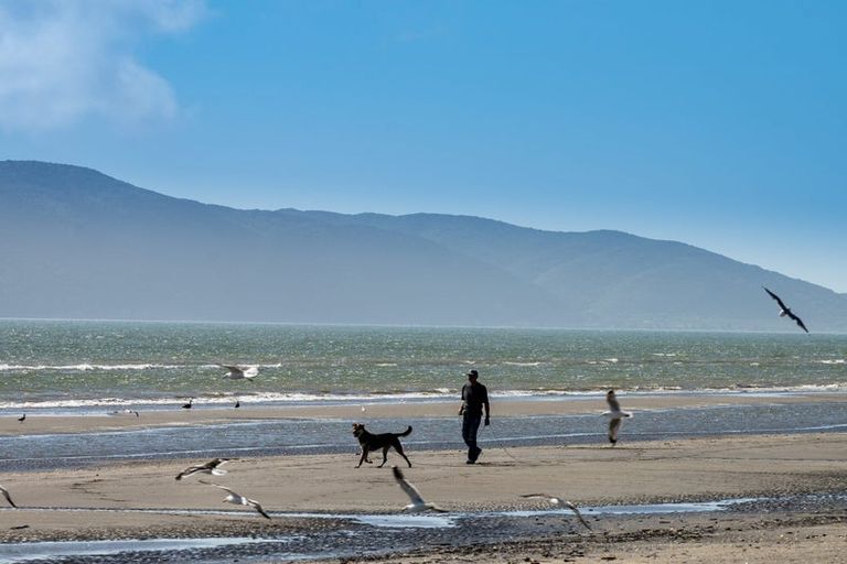 Photo of property in 33 Tainui Street, Raumati Beach, Paraparaumu, 5032