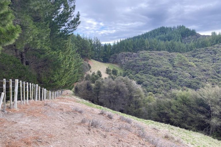 Photo of property in 1247 Wharekopae Road, Ngatapa, Gisborne, 4072