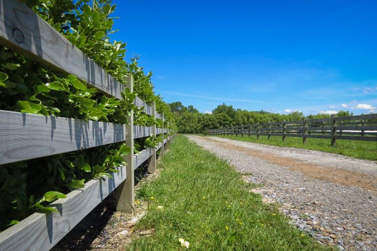 Photo of property in 90 Mahua Road, Feilding, 4777