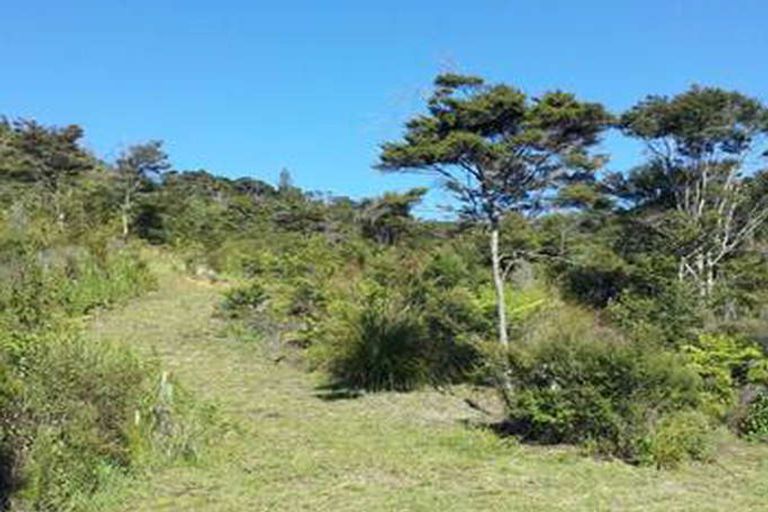 Photo of property in 61 Kaipapaka Row, Te Rerenga, Coromandel, 3582