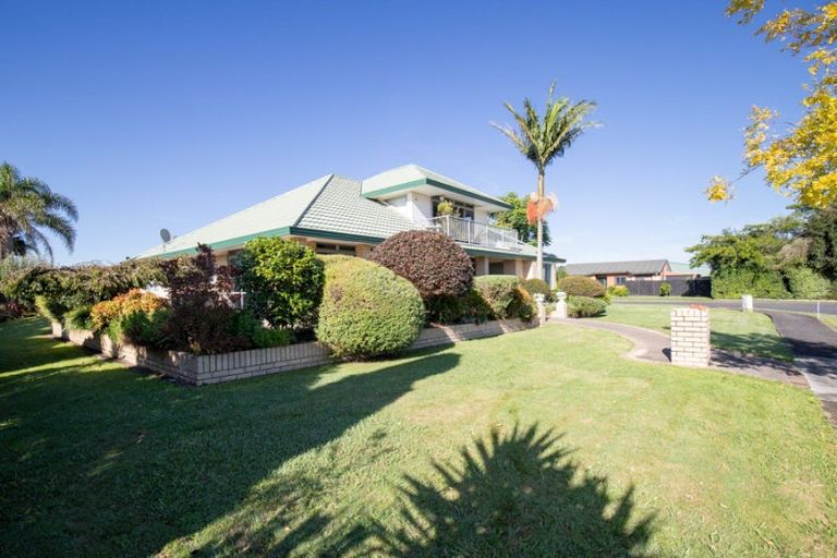 Photo of property in 15 Walton Place, Ngatea, 3503