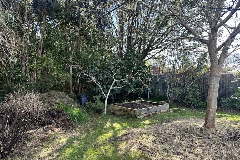 Photo of property in 8 Ruru Avenue, Otatara, Invercargill, 9879
