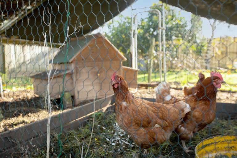 Photo of property in 23 George Street, Ngaruawahia, 3720