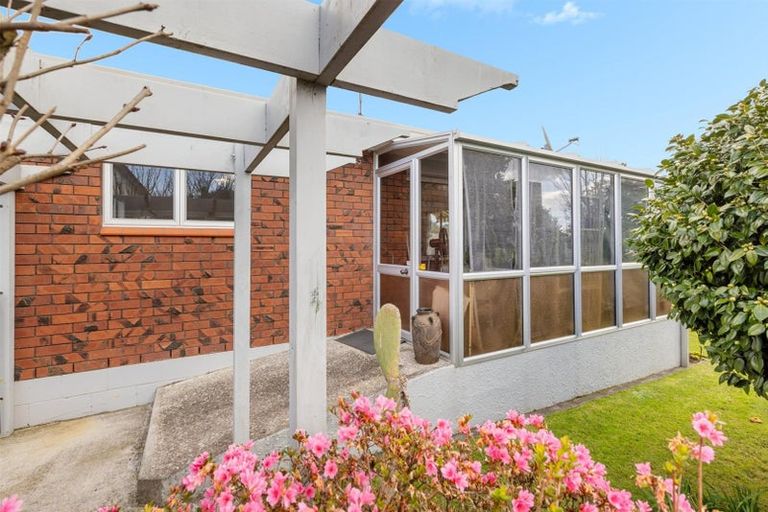 Photo of property in 151b Boucher Avenue, Te Puke, 3119