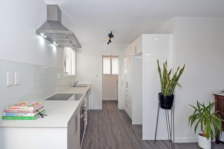 Photo of property in 1 Elliot Street, Andersons Bay, Dunedin, 9013