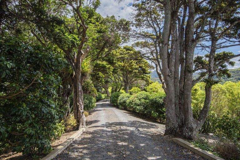 Photo of property in 21 Tangaroa Road, Mangawhai Heads, Mangawhai, 0505