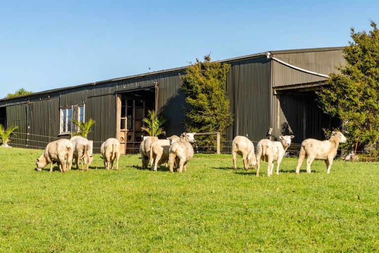 Photo of property in 168b Golden Stairs Road, Maungaturoto, 0589