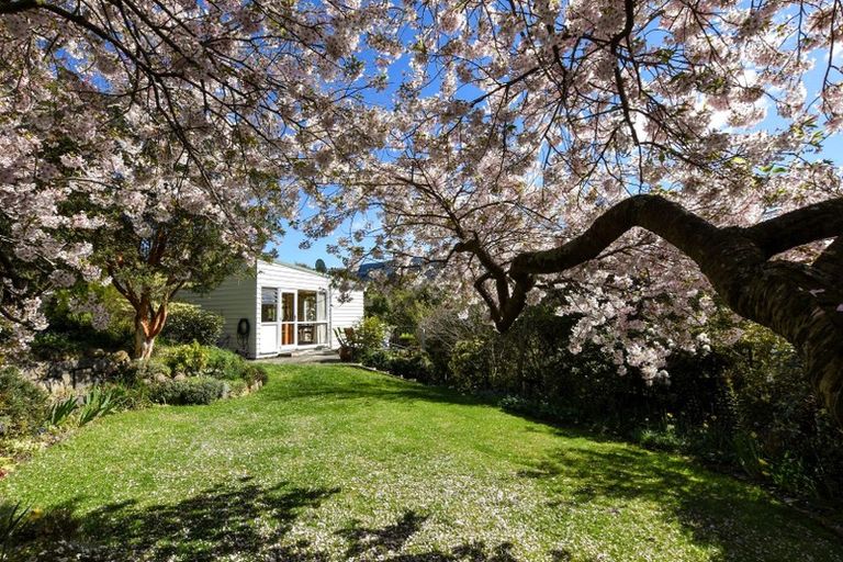 Photo of property in 61 Braeview Crescent, Maori Hill, Dunedin, 9010