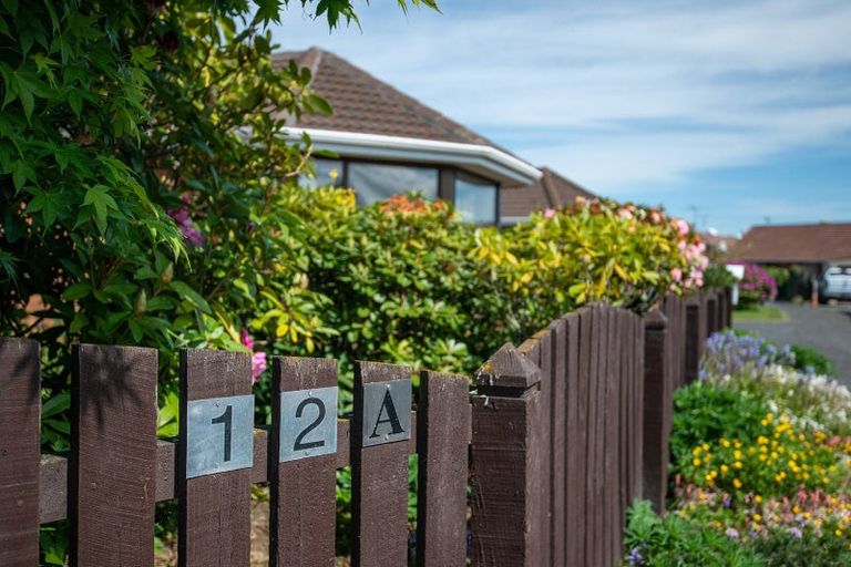 Photo of property in 12a Cedar Crescent, Mosgiel, 9024