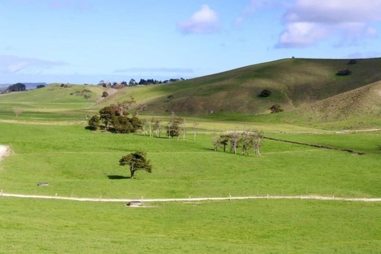 Photo of property in 182 Morrison Road, Arapohue, Dargaville, 0374