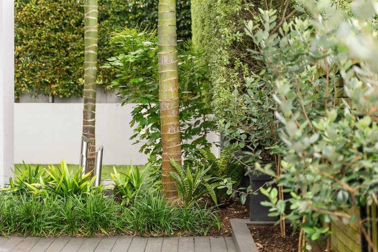 Photo of property in 113a Lucerne Road, Remuera, Auckland, 1050