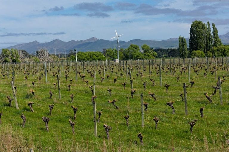 Photo of property in 35 Brighton Street, Island Bay, Wellington, 6023