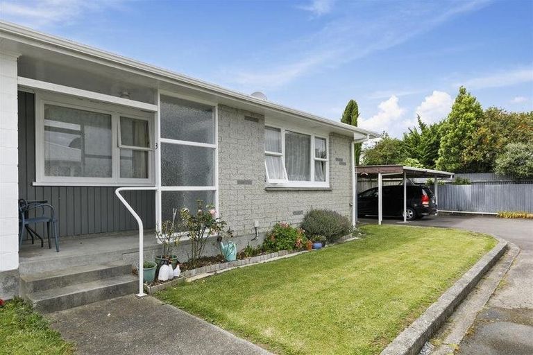 Photo of property in 24/3 Copeland Street, Hutt Central, Lower Hutt, 5011