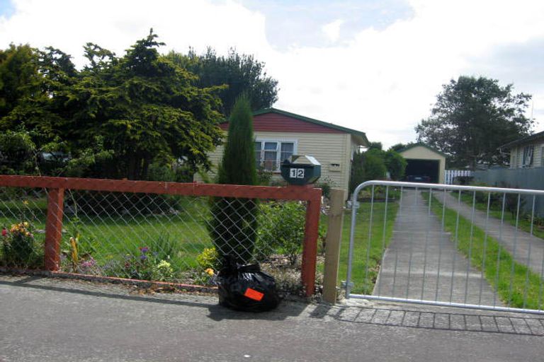 Photo of property in 12 Huxley Street, Pahiatua, 4910